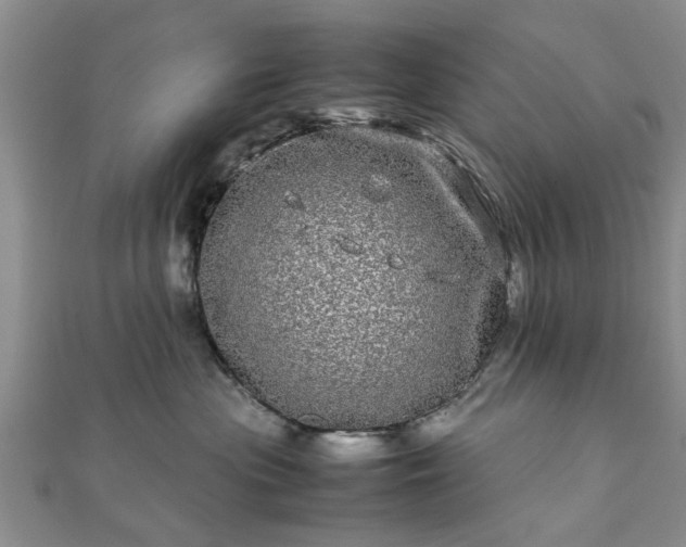 X0000111840477200907301054