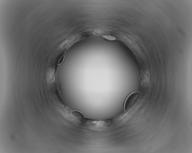 X0000111840478200907301054