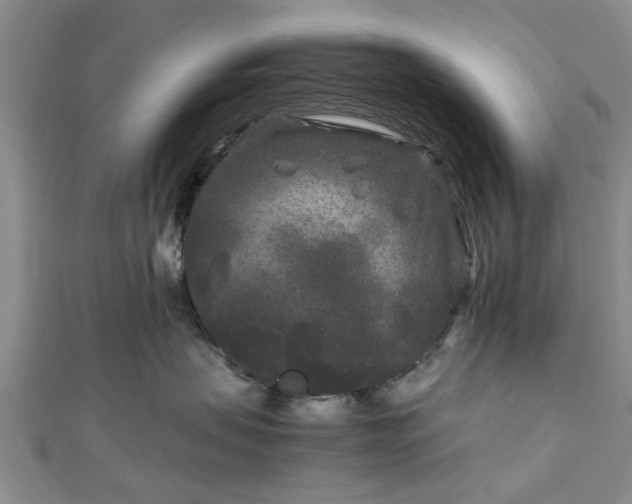 X0000111840479200907301054