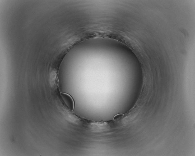 X0000111840480200907301054