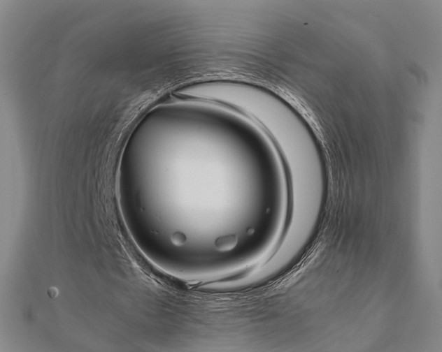 X0000111840481200907301053