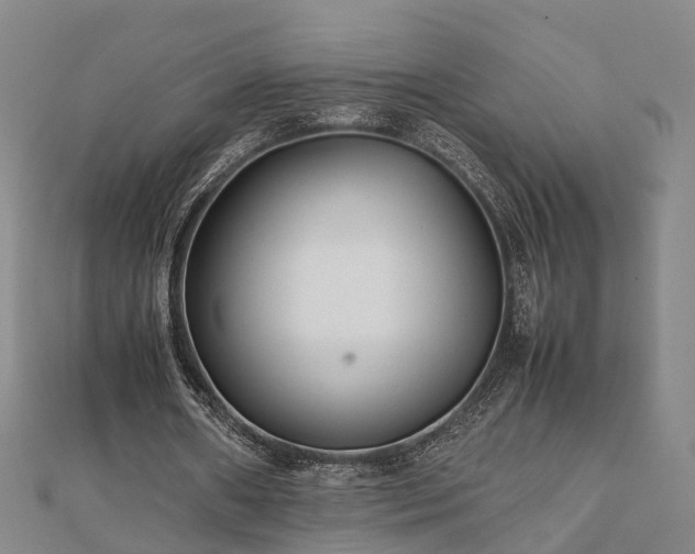 X0000111840482200907301053