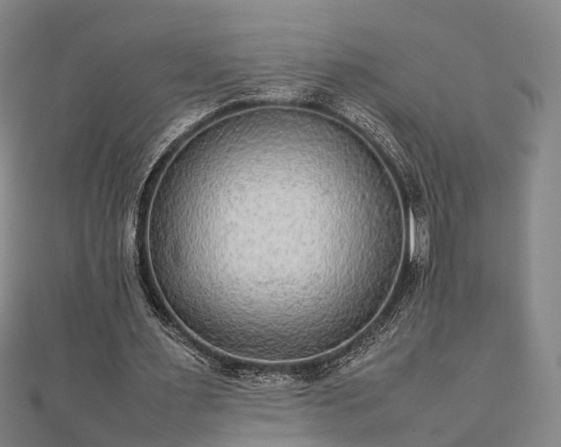 X0000111840483200907301053