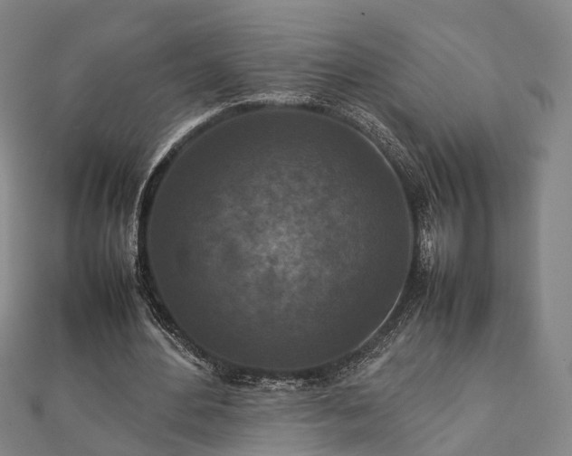 X0000111840484200907301053