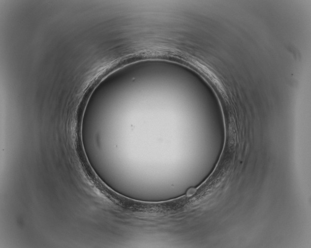 X0000111840485200907301053