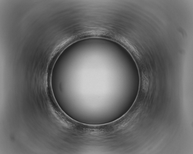 X0000111840486200907301053