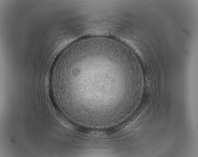 X0000111840487200907301053