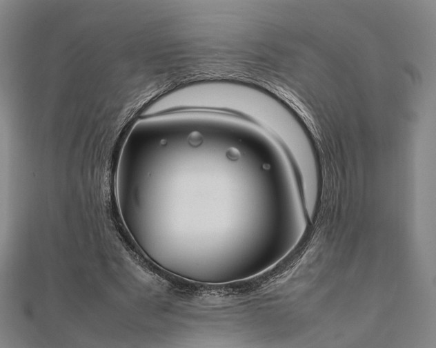 X0000111840489200907301053