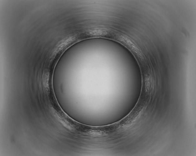 X0000111840490200907301053