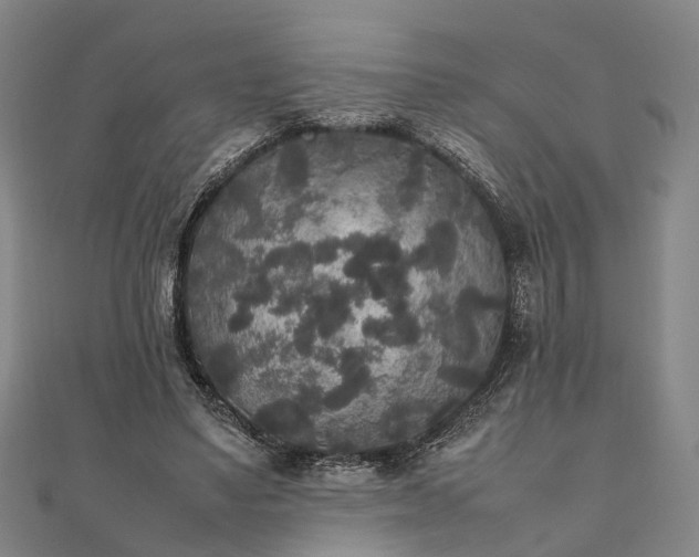 X0000111840491200907301053