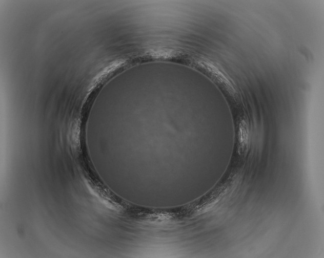 X0000111840492200907301053