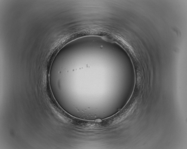 X0000111840493200907301053