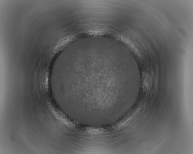 X0000111840494200907301053