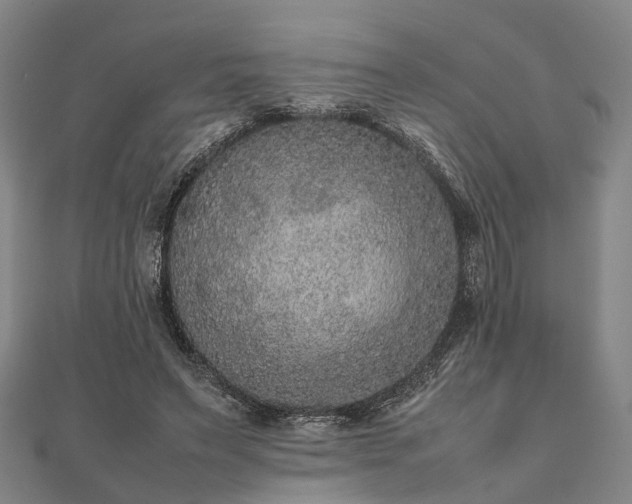 X0000111840495200907301053