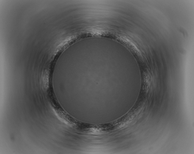 X0000111840496200907301053