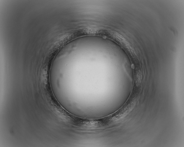 X0000111840497200907301053