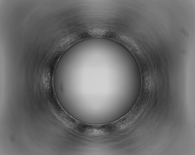 X0000111840498200907301053