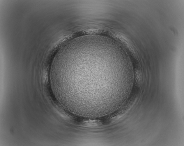 X0000111840499200907301053