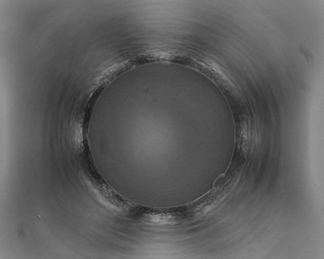 X0000111840500200907301053