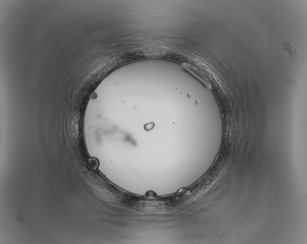 X0000111840501200907301053