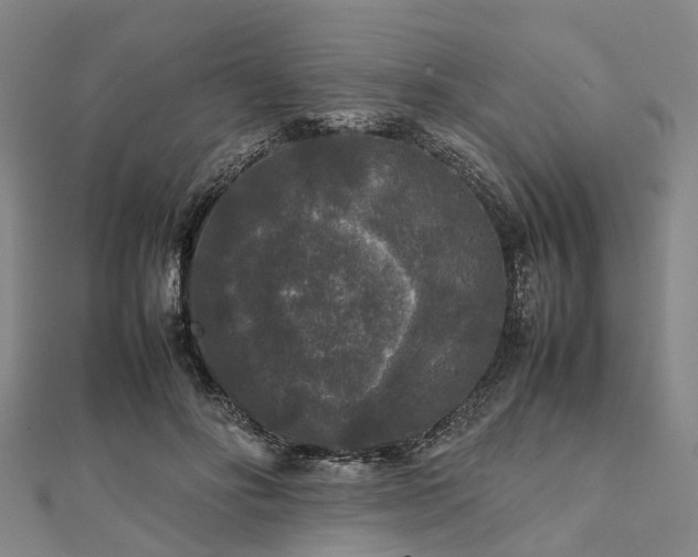 X0000111840502200907301053