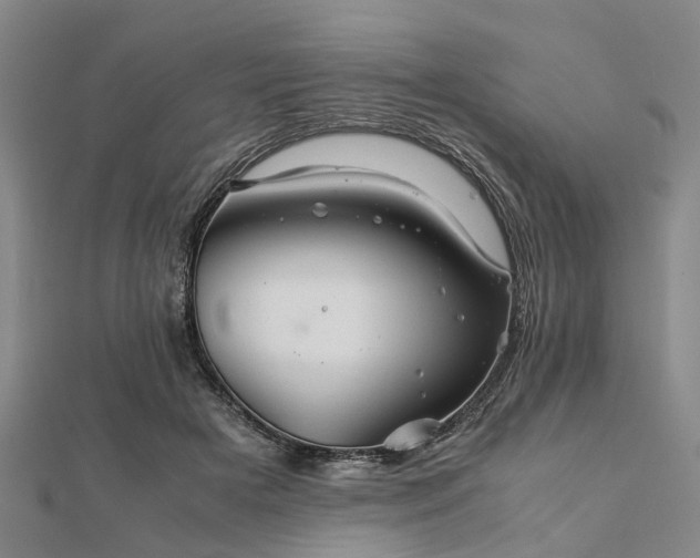 X0000111840505200907301053