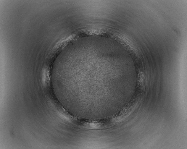 X0000111840506200907301053