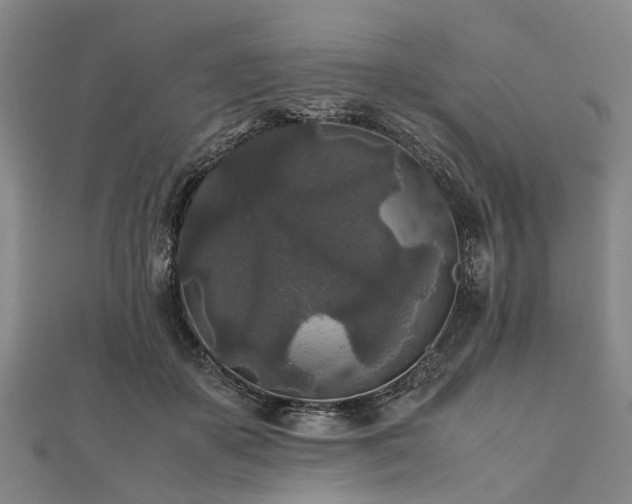 X0000111840507200907301053