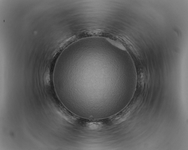 X0000111840508200907301053