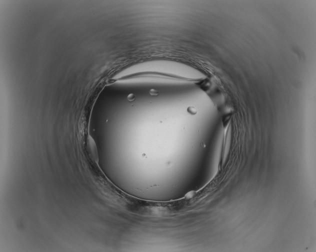 X0000111840509200907301053