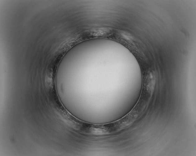 X0000111840510200907301053