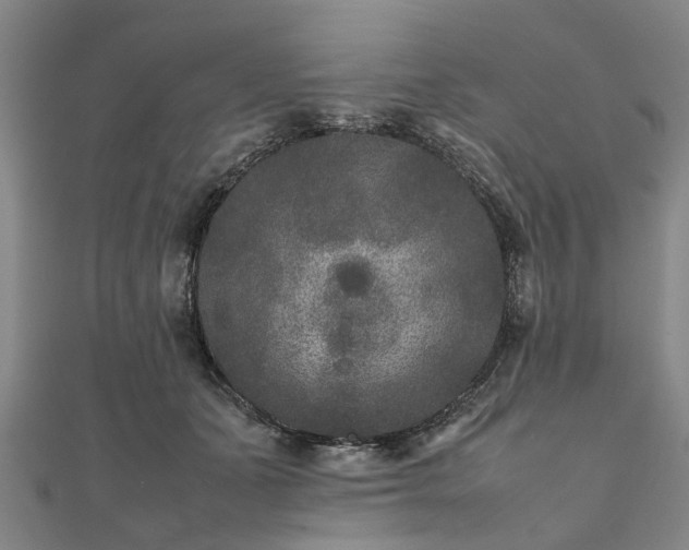 X0000111840511200907301053