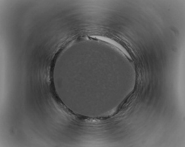 X0000111840512200907301053