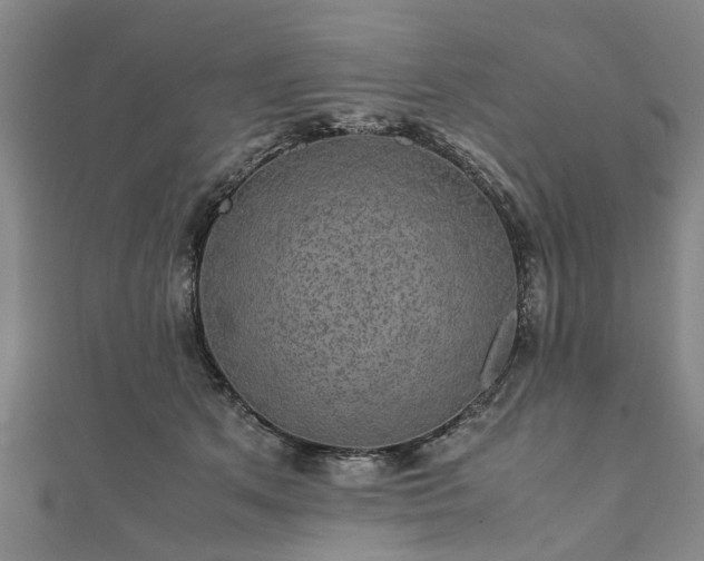 X0000111840513200907301053