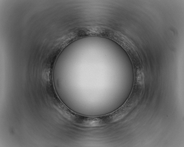 X0000111840514200907301053