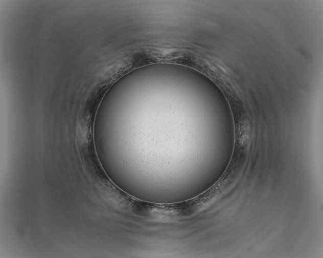 X0000111840515200907301053