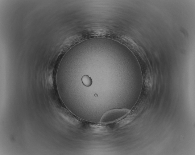 X0000111840516200907301053