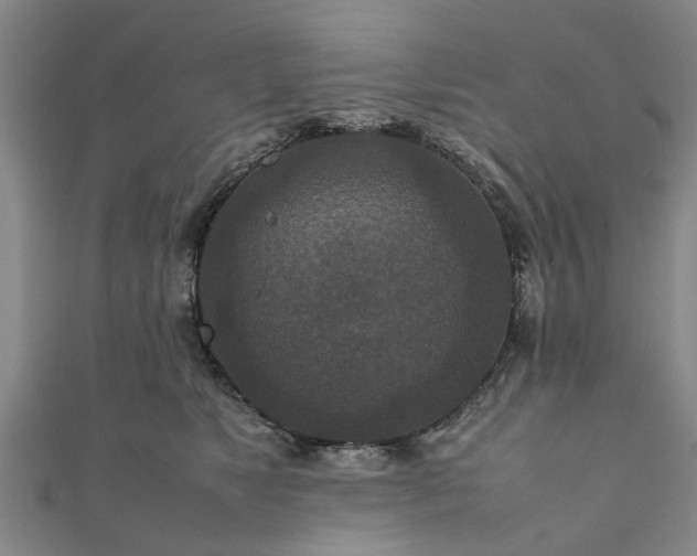 X0000111840517200907301053