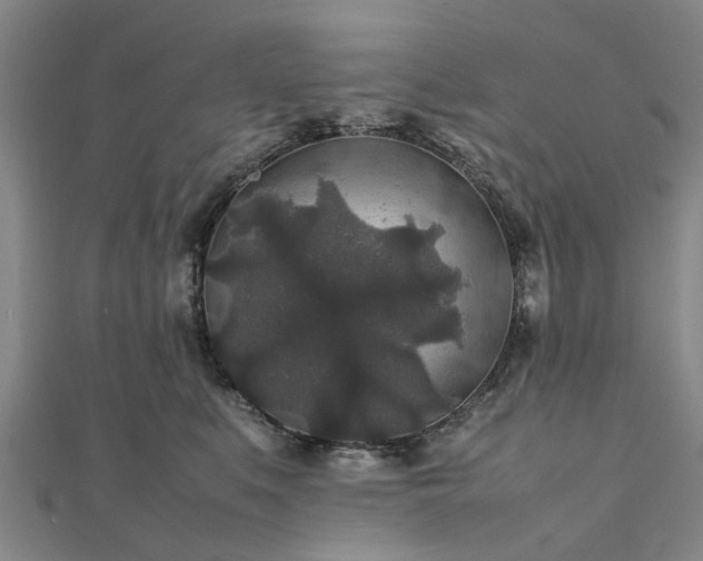 X0000111840519200907301053