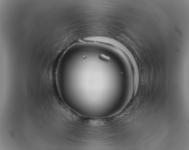 X0000111840520200907301053