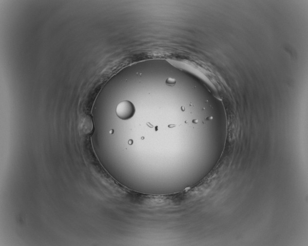 X0000111840521200907301053