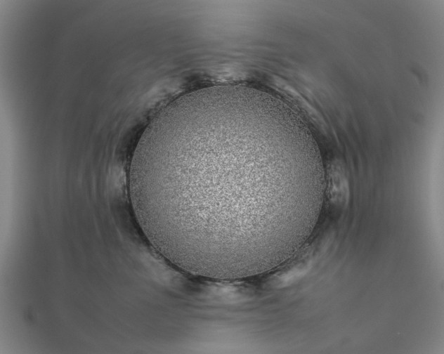 X0000111840523200907301053