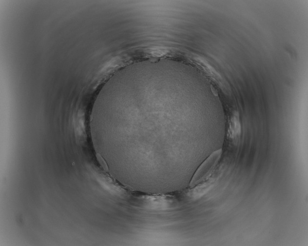 X0000111840524200907301053