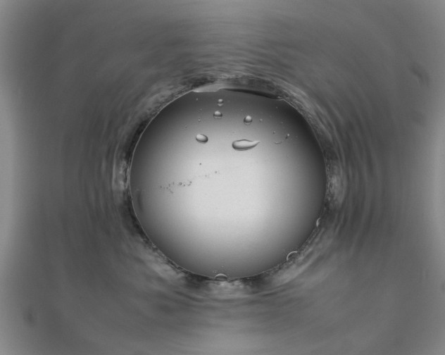 X0000111840525200907301053