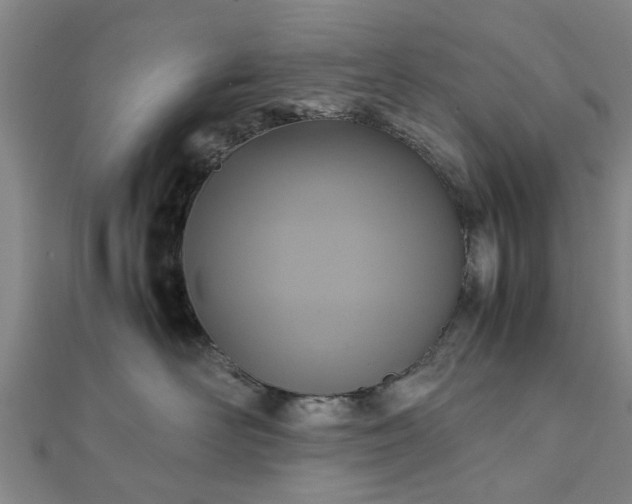 X0000111840526200907301053