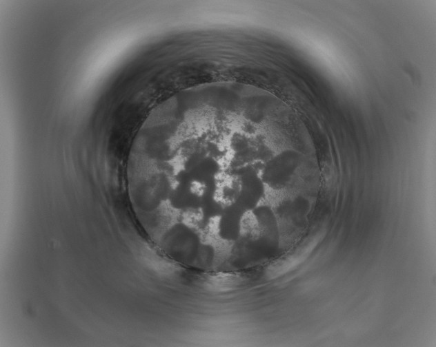 X0000111840527200907301053