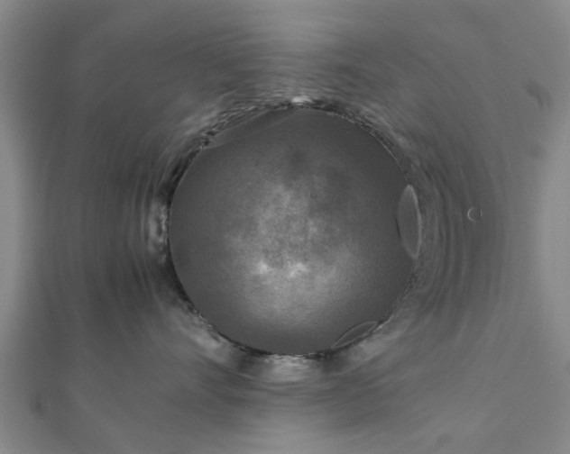 X0000111840528200907301053