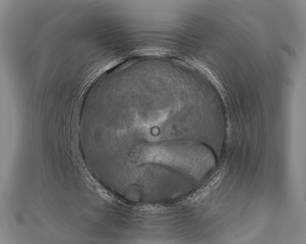 X0000111840529200907301052