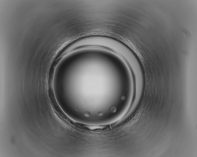 X0000111840530200907301052