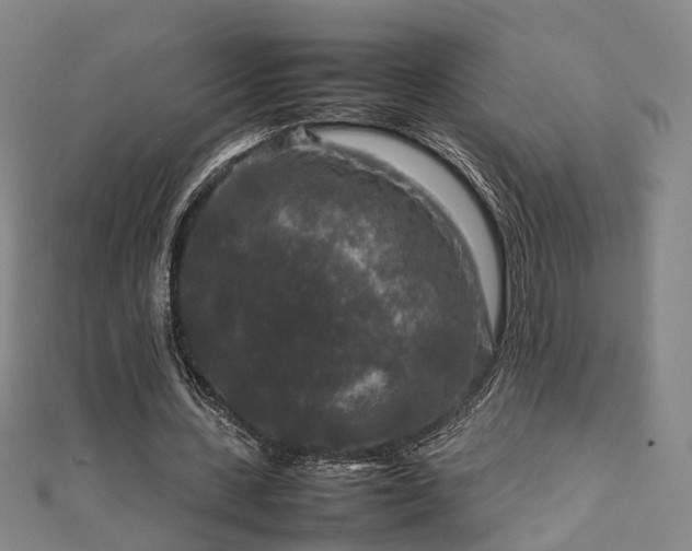 X0000111840531200907301052